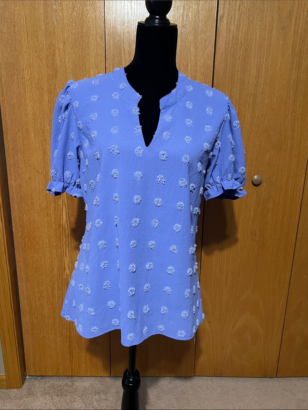 EUC Blooming Jelly swiss dot periwinkle short sleeve blouse